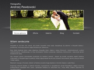 Podgląd andrzejpawlowski.com.pl