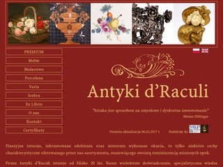 Podgląd antykidraculi.com