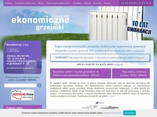 Podgląd ekonomiczne-grzejniki.pl