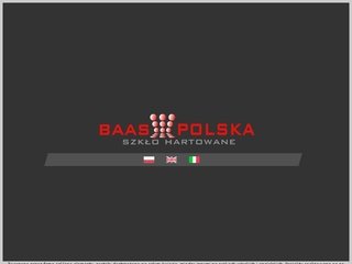 Podgląd baaspolska.net