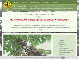 Podgląd sekowscy.com