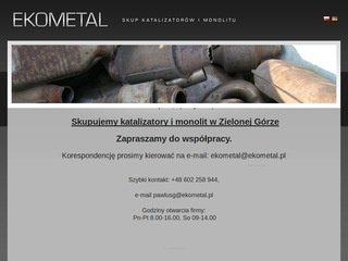 Podgląd skupkatalizatorow.com.pl