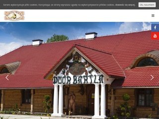 Podgląd biebrza.com.pl