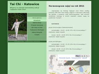 Podgląd taichi.katowice.pl