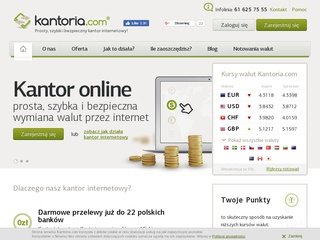 Podgląd kantoria.com