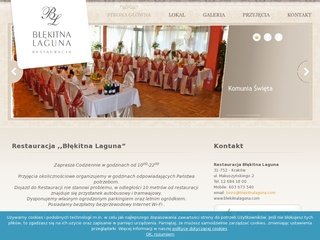 Podgląd blekitnalaguna.com