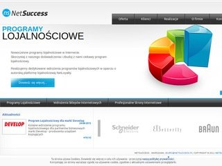 Podgląd netsuccess.pl