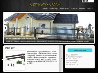 Miniaturka elserv.pl