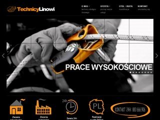 Podgląd technicylinowi.pl