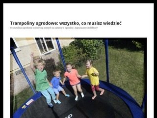 Podgląd trampolina-z-siatka.pl