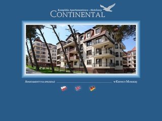 Podgląd continentalkrynica.com