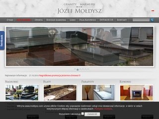 Podgląd moldysz.com