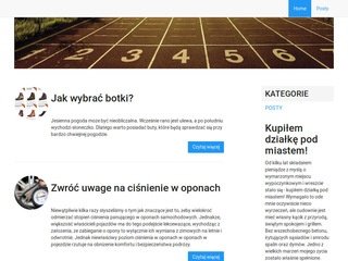 Podgląd borow.com.pl