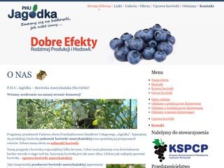 Podgląd phu-jagodka.pl