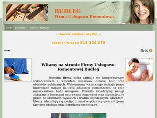 Podgląd budleg.pl