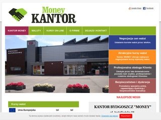 Podgląd kantormoney.pl