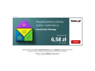 Podgląd netprotection.pl