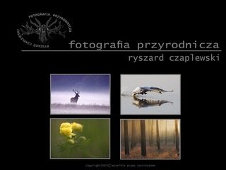 Podgląd fotoprzyroda.info