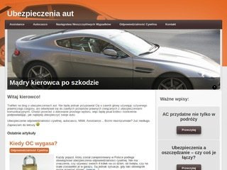 Podgląd autoubezpieczenie.com.pl