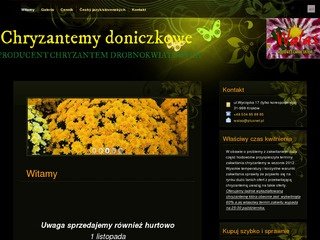 Podgląd chryzantemki.com