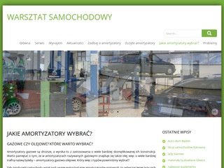 Podgląd oponyczestochowa.com.pl