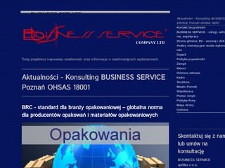 Podgląd business-service.com.pl