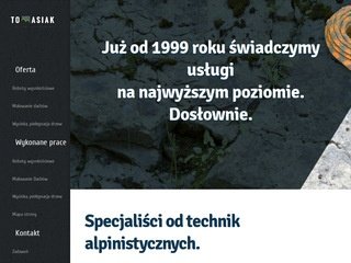 Podgląd tomasiak.eu