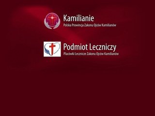 Podgląd kamilianie.eu