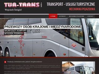 Podgląd tur-trans.pl