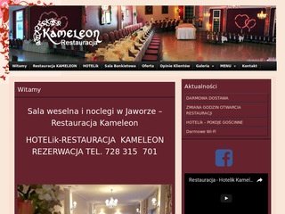 Podgląd kameleonrestauracja.pl