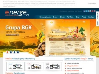 Podgląd energe21.com