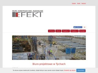 Podgląd bkbefekt.com.pl