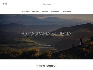 Podgląd sowinski.com.pl