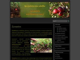 Podgląd zurawina.net