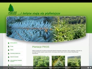 Podgląd pikos.com.pl