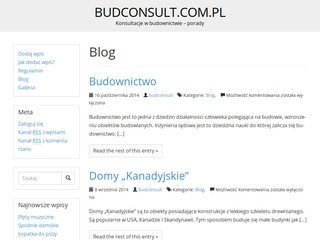 Podgląd budconsult.com.pl