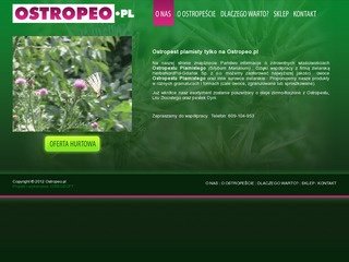 Podgląd ostropeo.pl