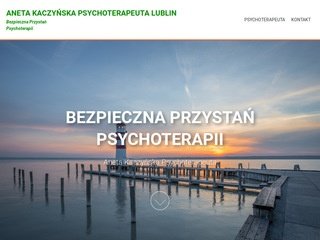 Podgląd psychoterapialublin.com.pl