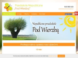 Podgląd przedszkolepodwierzba.pl