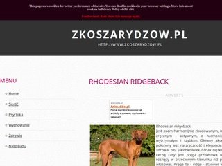 Podgląd zkoszarydzow.pl