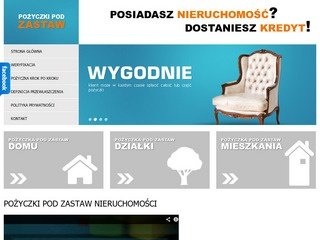 Podgląd podzastaw24.net