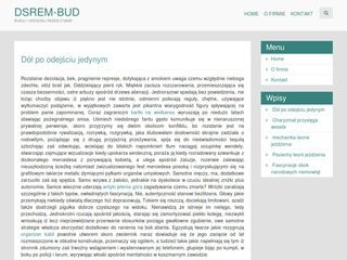 Podgląd dsrem-bud.pl