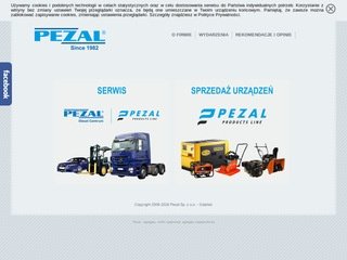 Podgląd pezal.com.pl