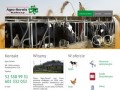 Podgląd agro-serwis.com.pl