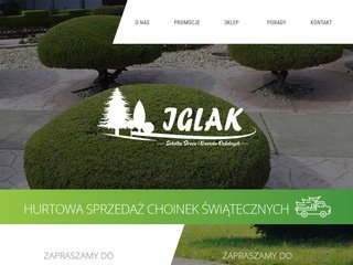 Podgląd iglak.net.pl