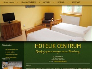 Podgląd hotelikcentrum.com.pl