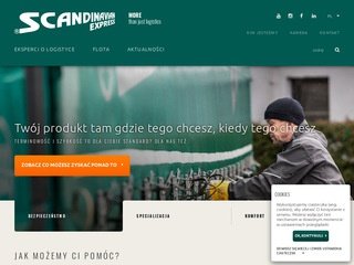 Podgląd scandinavian.com.pl