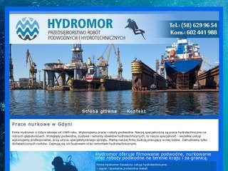 Podgląd pracenurkowehydromor.pl