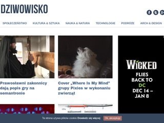 Podgląd dziwowisko.pl