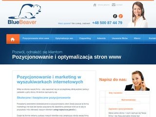 Podgląd bluebeaver.pl